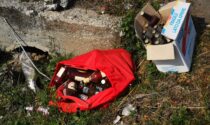 Abbandono di rifiuti: il triste spettacolo di via Valperga