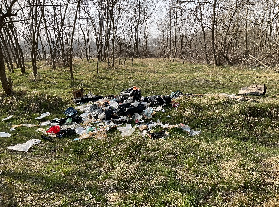 La giornata ecologica fa discutere (e parecchio) a San Benigno