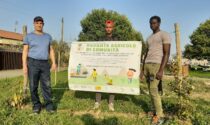 Badante agricolo un progetto di inclusione finanziato dalla Fondazione Comunità del Canavese