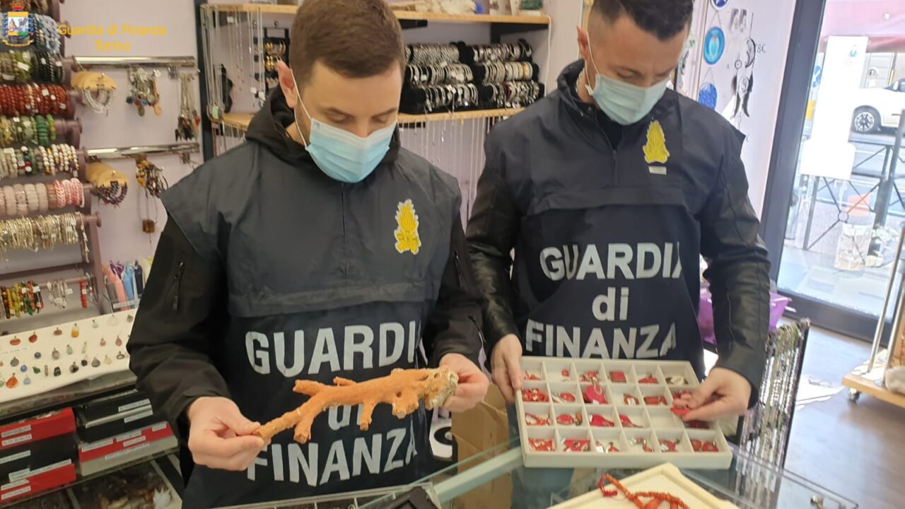 Monili ottenuti da specie protette e in via di estinzione, denunciato imprenditore