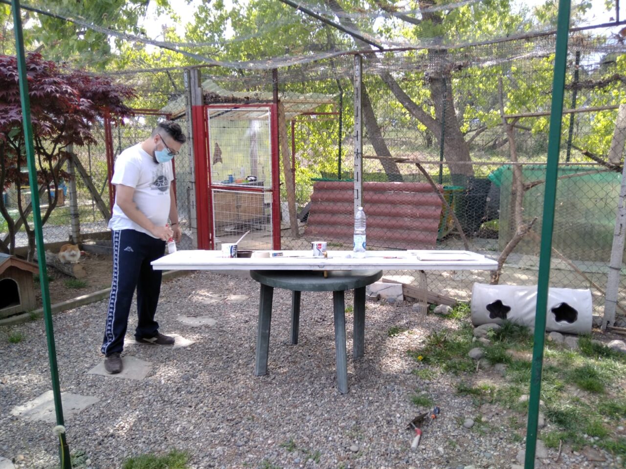 Vandali al Gattile di Ivrea Eporedianimali