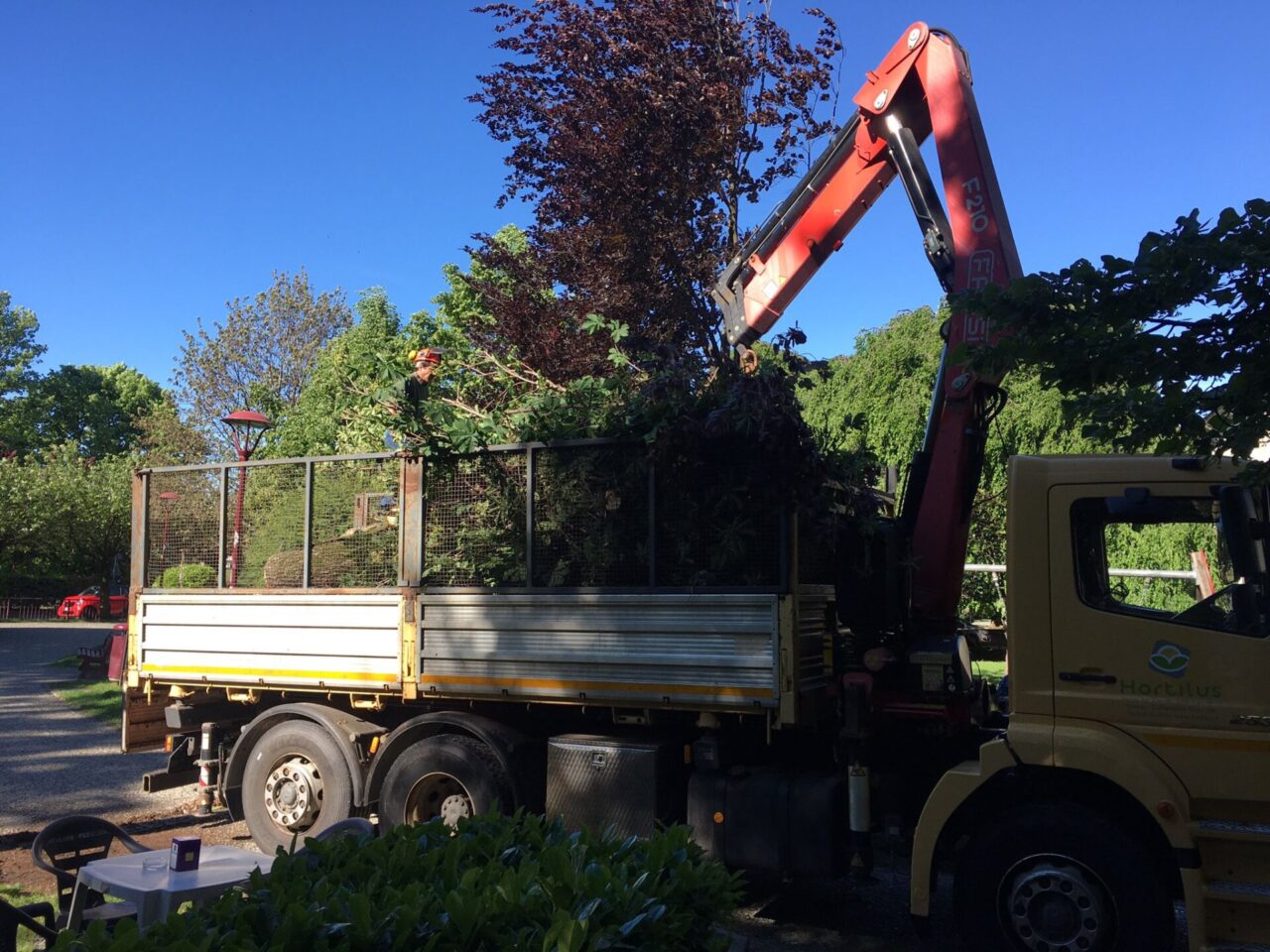 Albero abbattuto dal maltempo al parco giochi dei Giardini Giusiana