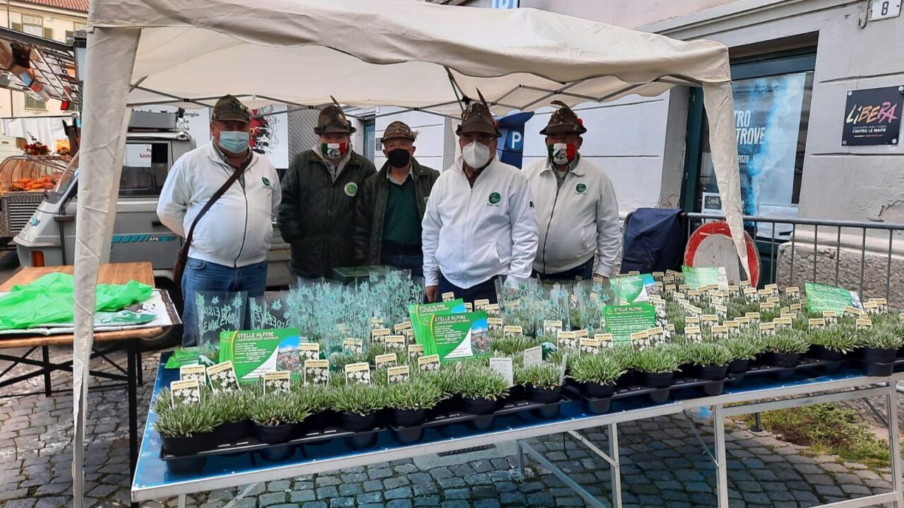 Gli Alpini di Cuorgnè in piazza per l’Orto sociale di Andirivieni