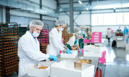 lavoro da casa nel canavese