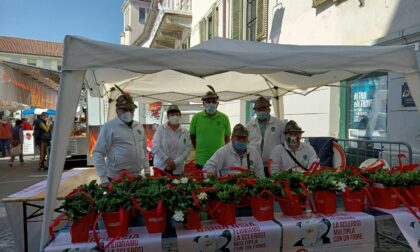 Gli Alpini scendono in piazza per la ricerca contro la Sclerosi Multipla