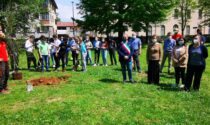 I giovani studenti di Favria hanno piantato un ciliegio nel parco