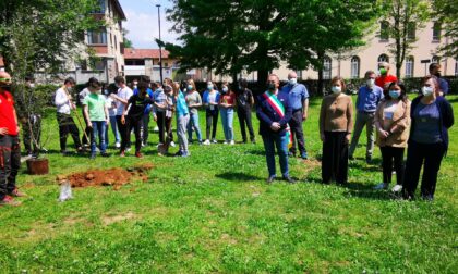 I giovani studenti di Favria hanno piantato un ciliegio nel parco