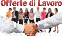 Lavoro, a giugno previsti oltre 37mila posti. Ecco le figure più ricercate