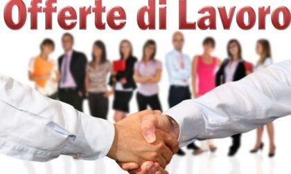 Lavoro, a giugno previsti oltre 37mila posti. Ecco le figure più ricercate