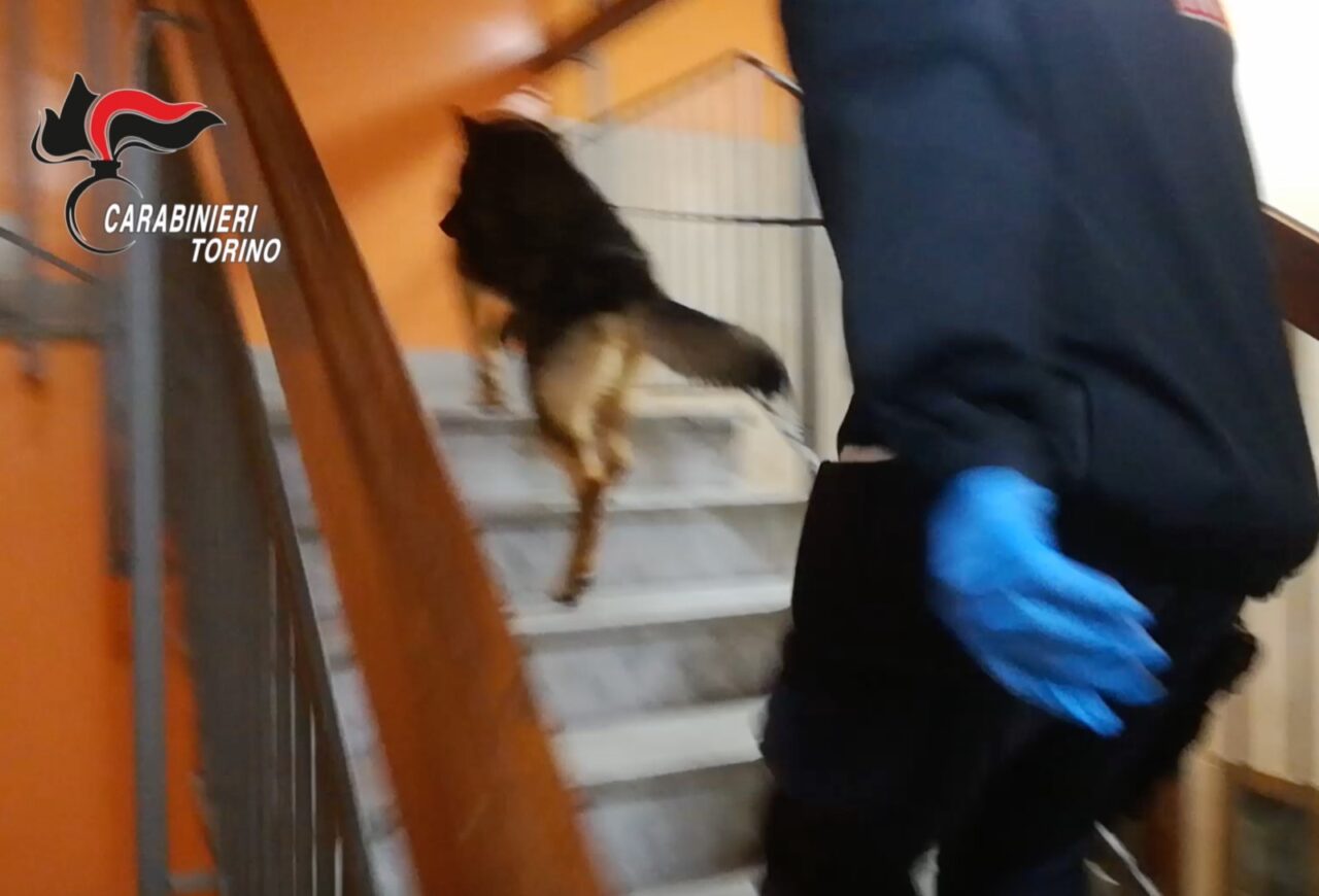 Traffico internazionale di droga, pacchi col Gps consegnati anche a “casa della nonna”