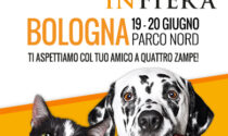 Quattrozampeinfiera: la grande festa per cani e gatti