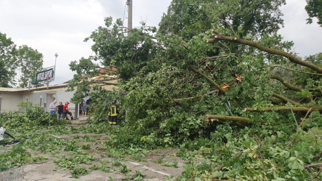 Tromba d’aria tra Cafasse e Fiano: alberi cadono nel parcheggio danneggiando il ristorante e le auto