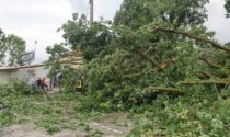 Tromba d'aria tra Cafasse e Fiano: alberi cadono nel parcheggio danneggiando il ristorante e le auto