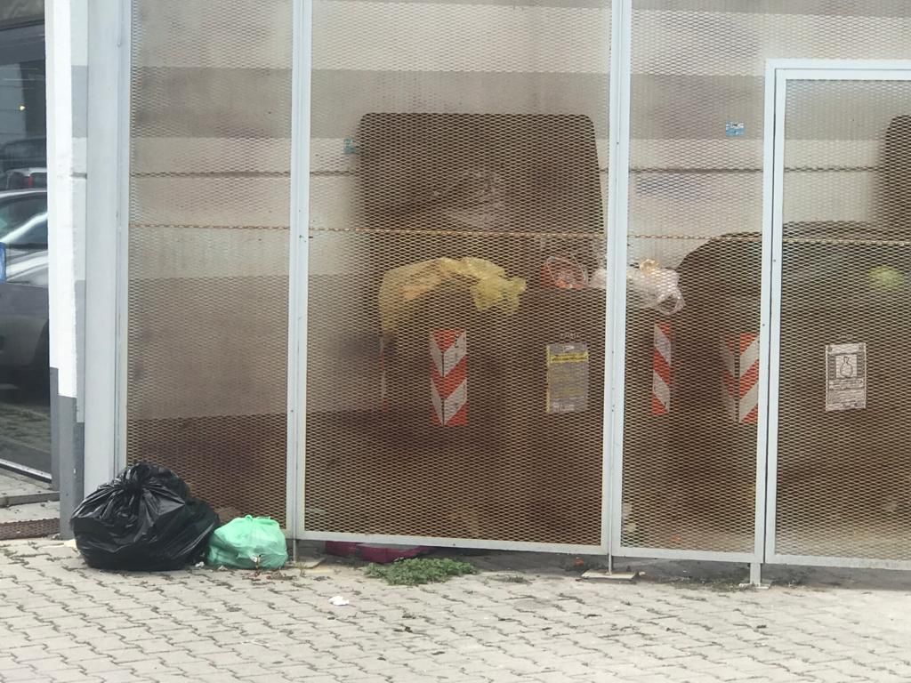 Ciriè: una colonia di ratti tra i cassonetti dei rifiuti