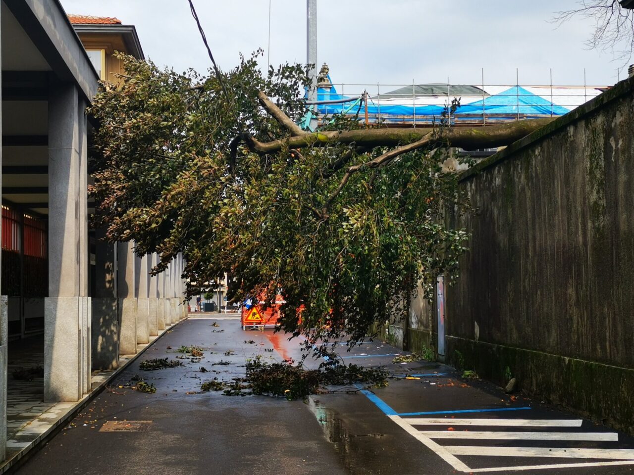 Violento acquazzone su Rivarolo. Albero caduto in centro, sottopasso allagato