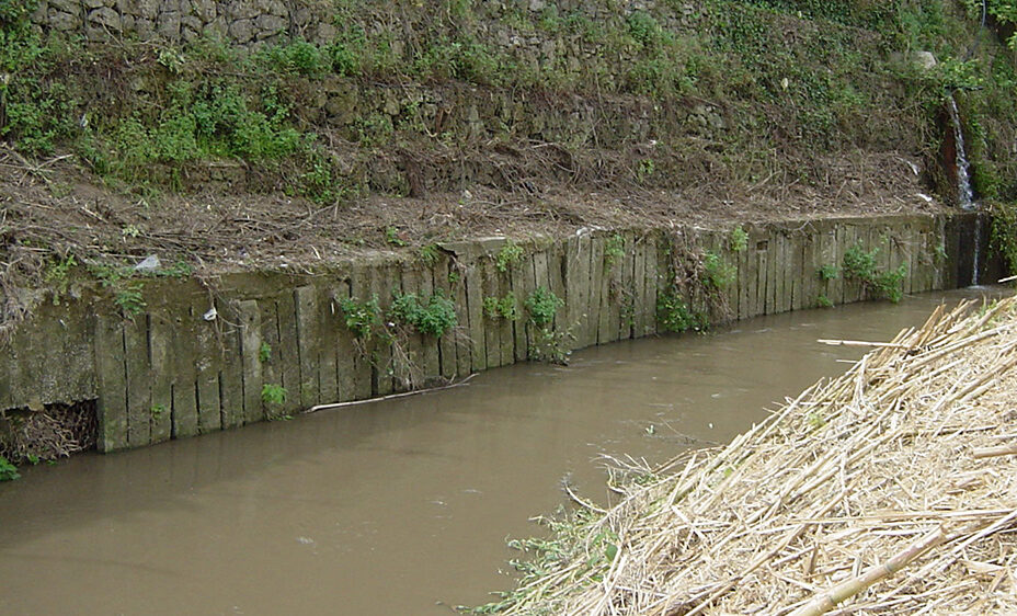 Contadino aggredisce addetto alle rogge e carabinieri