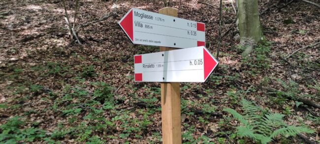 La Città Metropolitana stanzia 35 mila euro per la manutenzione dei sentieri: come partecipare