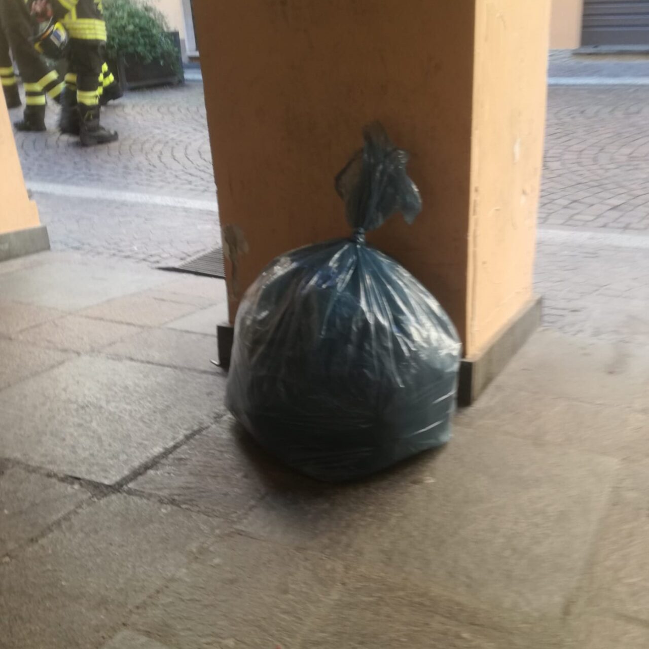 Non era una fuga di gas ma topi morti  chiusi in un sacco