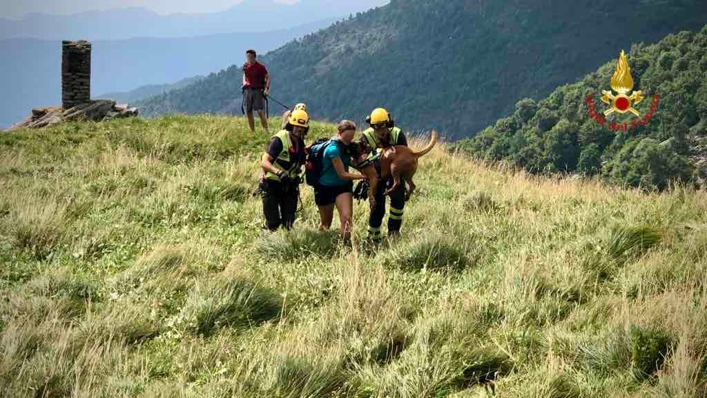 Cane morso da una vipera, portato in salvo dai Vigili del fuoco