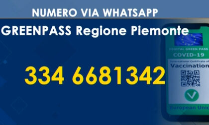 Informazioni sul Green pass via Whatsapp, il nuovo servizio della Regione Piemonte