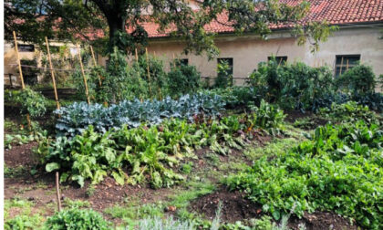 Cuorgnè ha dato vita al suo primo orto giardino sociale