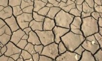 Caldo e siccità: danni all’agricoltura in Piemonte