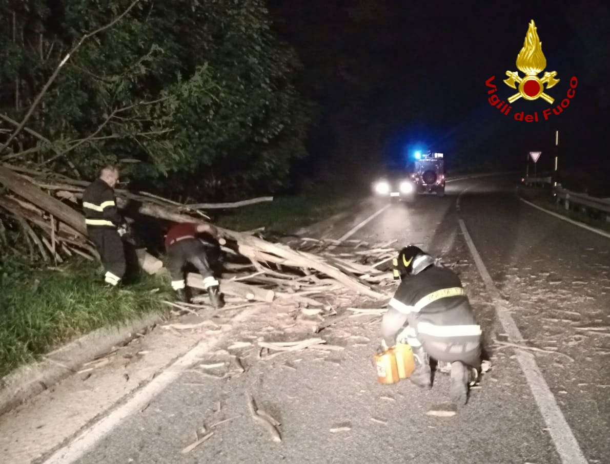 Albero abbattuto sulla carreggiata, intervento dei Vigili del fuoco