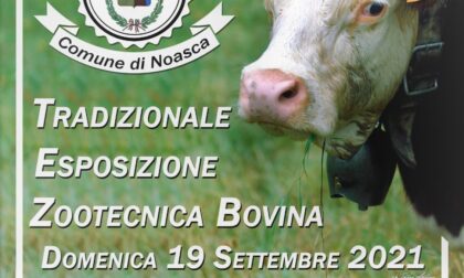 A Noasca domenica 19 appuntamento con l'Esposizione zootecnica