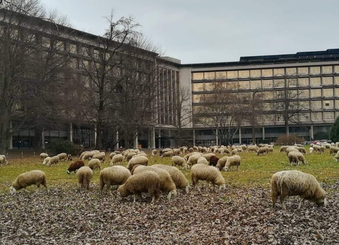 Scene bucoliche al Palazzo Uffici ex Olivetti di Ivrea