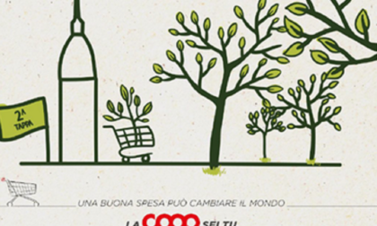 800 nuovi alberi in città grazie a Coop