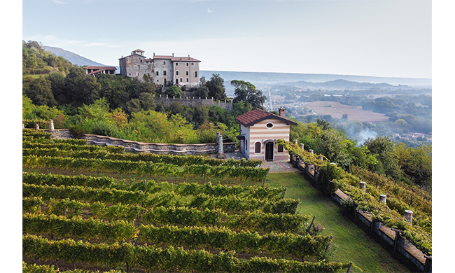 Vino, territorio, qualità e Canavese