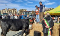 Ottimo esito per la Fiera di San Martino e i malintenzionati non hanno avuto successo