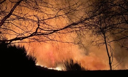 Incendio boschivo nella zona della Serra Morenica, aperta un'inchiesta