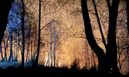 Incendio boschivo nella zona della Serra la notte di Capodanno