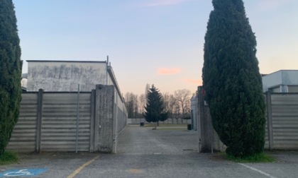 Lingua «trafitta» da spilli gettata accanto al cimitero