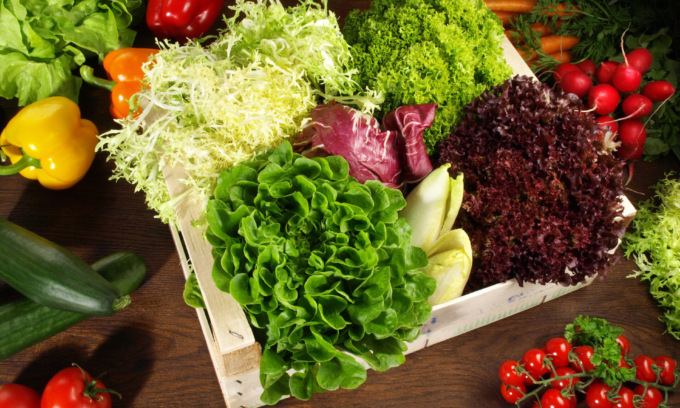 Da oggi in regalo i semi di insalata con Il Canavese e Il Giornale di Ivrea