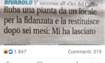 Ruba per amore una piantina da un locale e la restituisce dopo sei mesi: mi ha lasciato