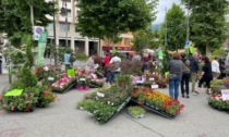 A Cuorgnè weekend di festa riuscito tra fiori e giochi all’aperto