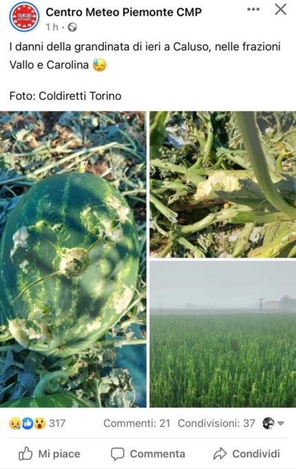 Grandine a Caluso, territorio devastato IL VIDEO