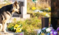Cani, gatti & Co. sepolti con i padroni: presto potrà essere realtà anche in Piemonte