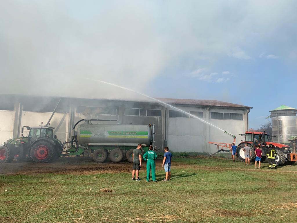 Incendio allevamento Rivarolo3