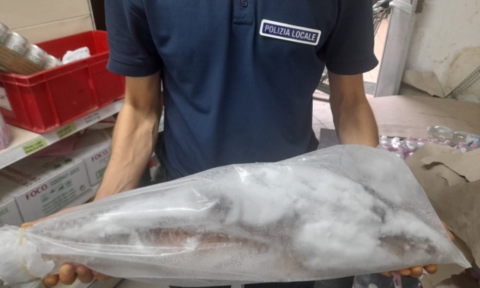 Minimarket, sequestrati 242 chilogrammi di pesce in cattivo stato di conservazione
