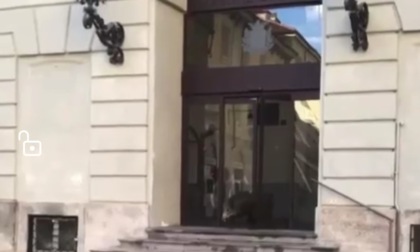 Cinghiale abbattuto in centro, insorgono gli animalisti