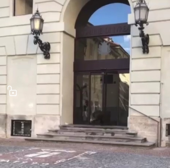 Cinghiale abbattuto in centro, insorgono gli animalisti