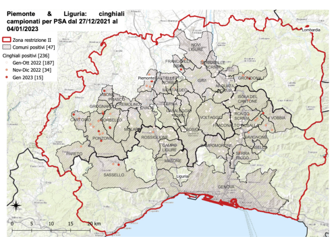 Due nuovi casi di peste suina. Salgono a 236 le positività in Piemonte e Liguria