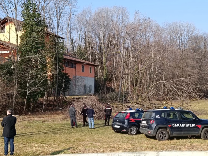 Tragedia a Salassa, un uomo è morto travolto da un albero che stava tagliando