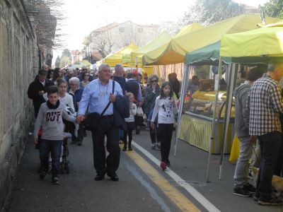 Cosa fare in Canavese nel weekend: gli eventi di sabato 25 e domenica 26 marzo 2023