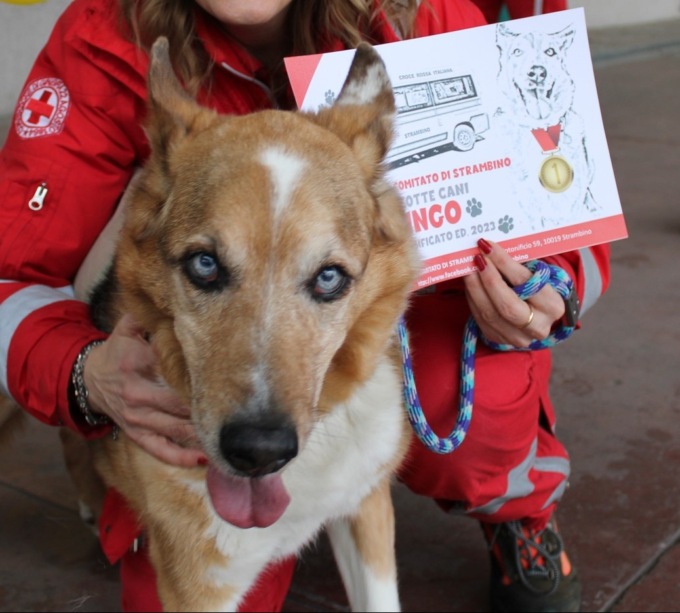 Operazione “Zampa Amica” alla CRI di Strambino