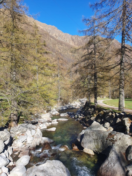 In arrivo le botteghe dei servizi in Canavese e Valli di Lanzo
