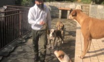 Cani avvelenati con würstel riempiti di chiodi, brutto episodio a Cuorgnè
